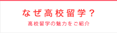 なぜ高校留学？ 高校留学に向いている人とは