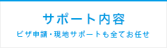 サポート内容 ビザ申請・現地サポートも全てお任せ